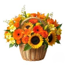 Basket of sunflowers and orange flowers (Refined)