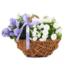 White and blue basket for Baby Boy (Refined)