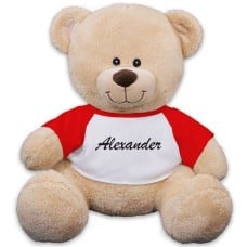 Personalized Any Name Teddy Bear - 17"
