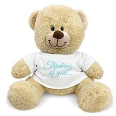 Thinking of You Teddy Bear - 17"