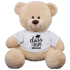 Class Of Teddy Bear