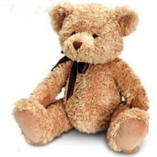 School Bear