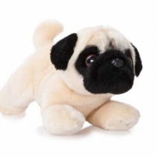 Pug Teddy