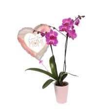 Lovely Mom Orchids with Balloon