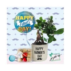 Father's Day Bonsai Set