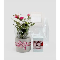 Everlasting Love Baby Rose and Assorted Chocolates Bundle