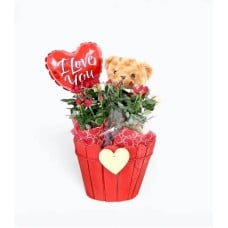 LOVING GARDEN of Baby Roses