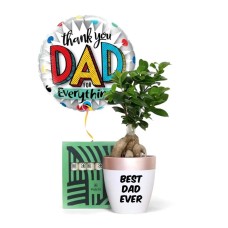BEST DAD Ficus Bonsai & Patchi Chocolates Gift Set