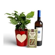 Love & Altitudes – Coffee Plant & Wine Gift Set