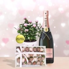 Berries N Champagne