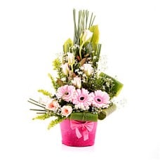 Simply Sweet