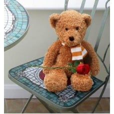 Missing You Teddy (Missing You Teddy)