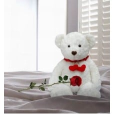Lonely Bear (Lonely Bear)