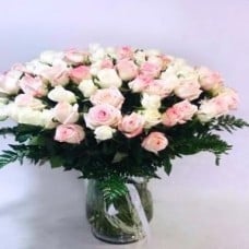 Passion for Roses