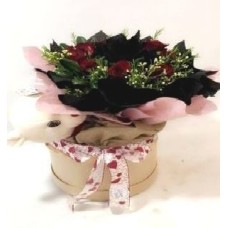 Gift for You