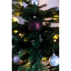 Poinsettia Plant with Christmas Tree