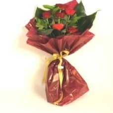 Bouquet with Five Roses