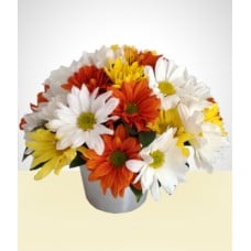 Shining: Daisies in Aluminum vase