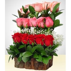 Dreaming 15 Roses Water Fall