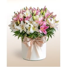 Lilies' Whispers