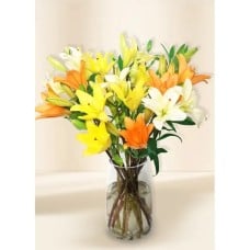 Lilies - Lushes (15)