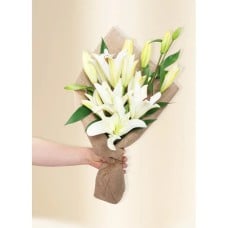 Oriental Lilies - In Vogue White (5)
