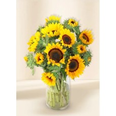 Sunflowers- Sunrise (15)