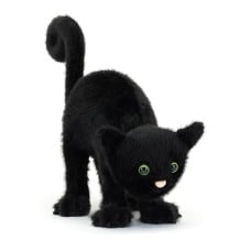 Spookipaws Cat