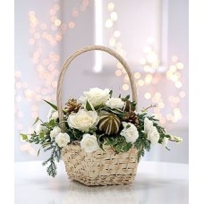 Frosted Basket (Premium)