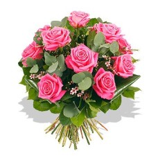 Dozen Pink Roses (Standard)