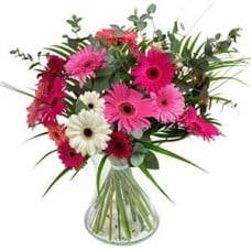 Simply Gerberas (Standard)