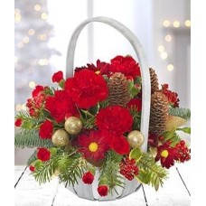 Festivity (Medium)