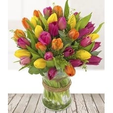 Tulip Fayre