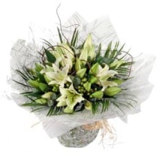 Lily Classic Handtied (Medium)