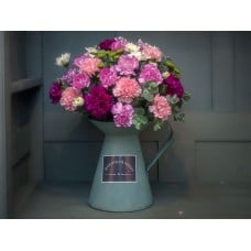 Lilac Blush