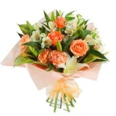 Peaches And Cream (Small)