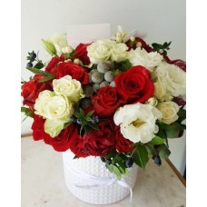 Red And White Velvet