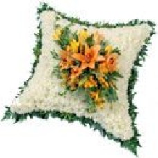 Cushion Based (Standard)