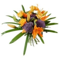Birthday: Sagittarius (Standard)