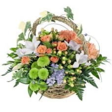 Purple, Green And Orange (Standard)