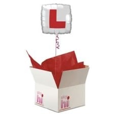 Hen Night Balloon in a Box (Standard)
