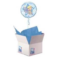 I'm a Boy Balloon in a Box (Standard)