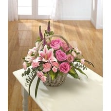 Simply Scented - (Standard)