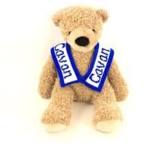 County Cavan Bear