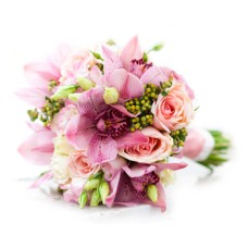 Wedding Bells