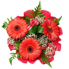 Red Romance