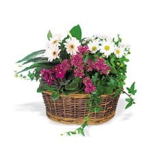 Send A Smile Flower Basket