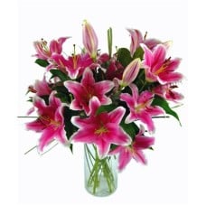 Pink királyliliomok (Small)
