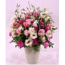 Liziantuszok a pot - flowers pink cloud (Medium)