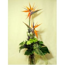 Welcome parrot with flowers (Medium)